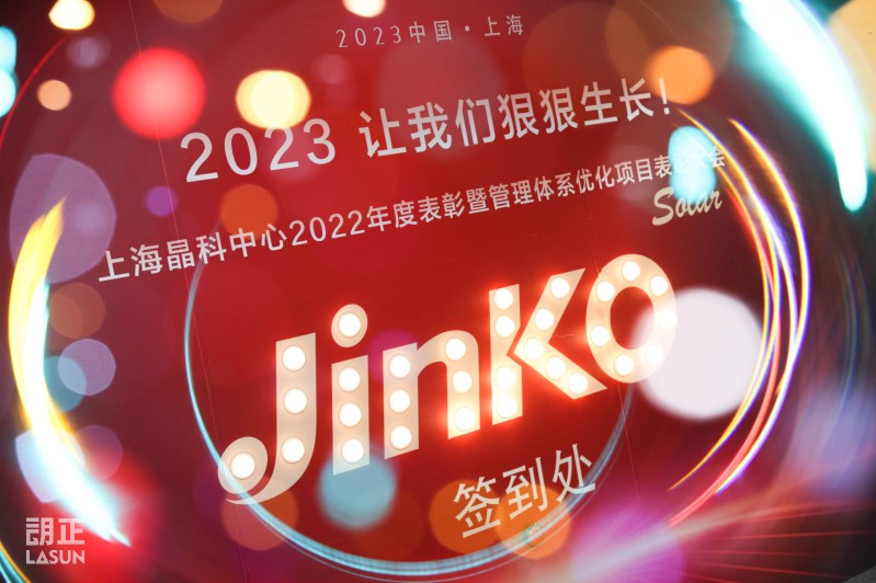 晶科_编号4.JPG